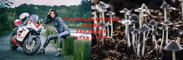 хмурый Алзамай