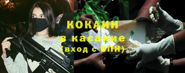 хмурый Алзамай