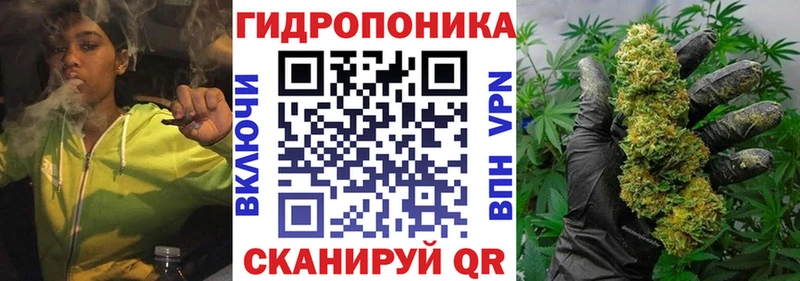 где найти   Пролетарск  Шишки марихуана Amnesia 